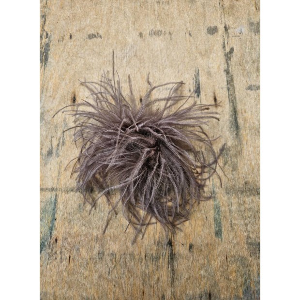 Exquisite J stručio plunksnų sagė Exquisite J stručio plunksnų sagė